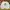 New Balance Sportswear Casual T-shirt Pria White