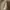 Y2K Coquette Midi dress Wanita tan photo 2