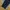 Adidas Sportswear Casual Tracksuit Pria navy photo 5