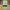Vintage Streetwear Pria Multicolor