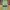 Vintage Streetwear Pria Multicolor