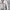 Burberry Luxury Trench coat Wanita cream photo 2