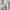 Burberry Luxury Trench Coat Wanita Cream