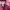 Burberry Luxury Trench coat Wanita burgundy photo 3