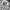 Burberry Luxury Trench coat Pria tan photo 2