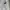 Burberry Luxury Trench coat Pria tan photo 4