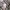 Burberry Luxury Trench coat Pria tan photo 5