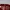 BASSO Vintage Sportswear Hat Pria red photo 3