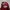 BASSO Vintage Sportswear Hat Pria Red