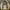 Renoma Vintage Casual Harrington jacket Pria yellow photo 2