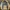 Renoma Vintage Casual Harrington Jacket Pria Yellow