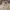 Minimalist Casual Pea coat Pria tan photo 3