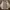 Minimalist Casual Pea coat Pria tan photo 2