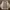 Minimalist Casual Pea Coat Pria Tan