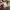 Minimalist Casual Pea coat Pria tan photo 6