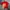 Y2K T-shirt Pria red photo 2