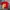 Y2K T-shirt Pria Red
