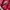 Luxury Casual Harrington jacket Pria red photo 6