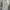 Vintage Luxury Formal pants Pria gray photo 1