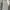 Vintage Luxury Formal Pants Pria Gray