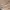 GU Vintage Streetwear Casual pants Pria tan orange photo 5