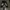 Vintage Y2K Pria black photo 1