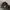 Carhartt Streetwear Hat Pria black photo 1