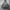 Arc'teryx Gorpcore Sportswear Track jacket Pria black photo 1