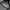 Arc'teryx Gorpcore Sportswear Track jacket Pria black photo 4