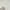 Kangol Streetwear Hoody Pria white photo 7