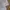 Streetwear Coquette Sweatshirt Pria multicolor photo 4