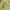 Minimalist Casual Fleece Wanita green yellow photo 4