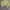 Minimalist Casual Fleece Wanita green yellow photo 1
