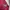 Skater Minimalist Hoody Wanita burgundy photo 3