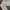 Minimalist Casual Fur coat Wanita white cream photo 3