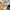 New Balance Streetwear Sportswear Sneakers Pria tan photo 6