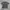 Vintage Y2K T-shirt Pria green photo 1