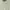 Polo Ralph Lauren Casual Polo shirt Pria yellow photo 1