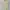 Polo Ralph Lauren Casual Polo shirt Pria yellow photo 2