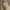 Carhartt Vintage Streetwear Denim jacket Pria tan brown photo 3