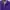 Burberry Casual Polo shirt Pria purple photo 1