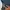 Fear Of God ESSENTIALS Casual Sweatshirt Pria Green