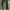 Stone Island Vintage Windbreaker Pria navy photo 1