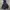 Arc'teryx Gorpcore Windbreaker Pria black photo 3