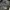 The North Face Gorpcore Windbreaker Pria tan black photo 5