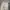 Dickies Casual Casual pants Pria cream photo 7