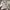 Dickies Casual Casual pants Pria cream photo 4