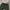 Uniqlo Gorpcore Sweatpants & Joggers Pria green photo 2