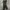 Uniqlo Gorpcore Sweatpants & Joggers Pria green photo 4