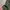 Uniqlo Gorpcore Sweatpants & Joggers Pria green photo 5